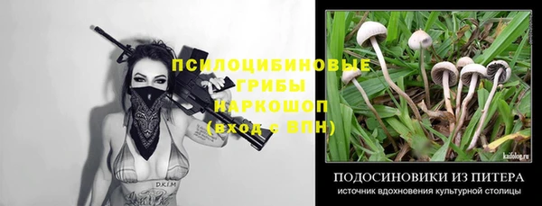 СК Бронницы
