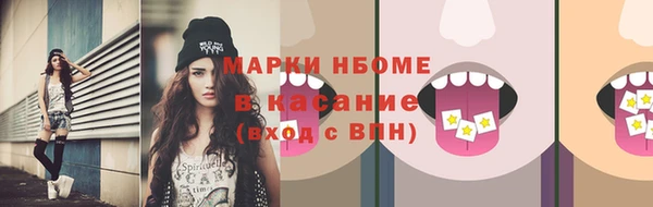 СК Бронницы