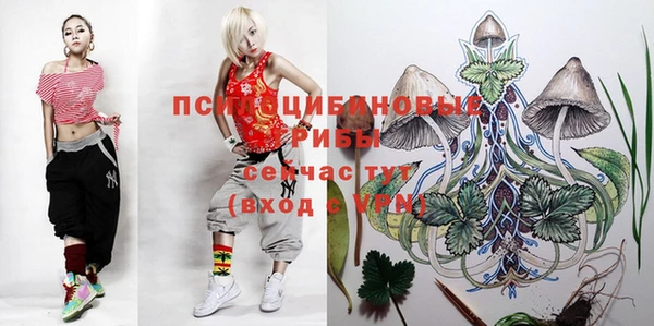СК Бронницы