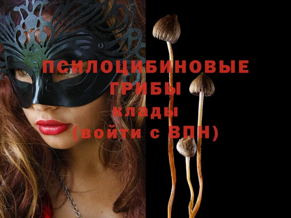 каннабис Бородино