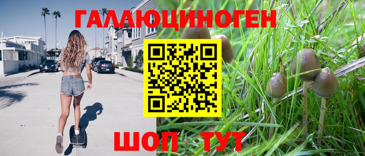Псилоцибиновые грибы Magic Shrooms Бузулук