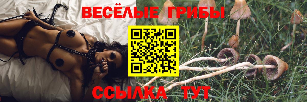 Псилоцибиновые грибы GOLDEN TEACHER Бузулук