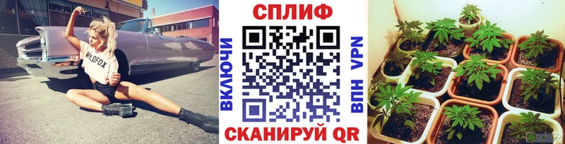 Бошки марихуана индика  ОМГ ОМГ маркетплейс  Бузулук  продажа наркотиков 