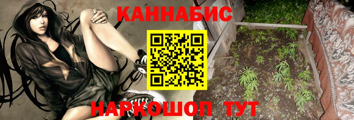 Шишки марихуана планчик  Каннабис Bruce Banner  Каннабис White Widow  Бузулук  Канабис конопля 